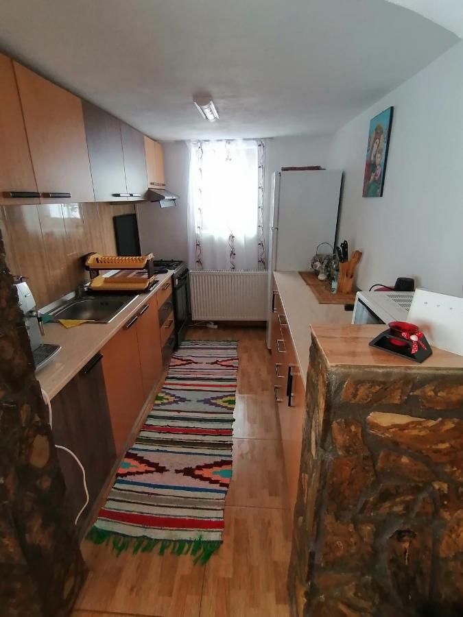 Cabana Daria Gîrda de Sus Екстериор снимка