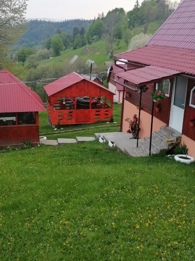 Cabana Daria Gîrda de Sus Екстериор снимка